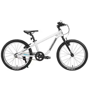 Детский велосипед Montasen F08 (серебристый) F08-20SL