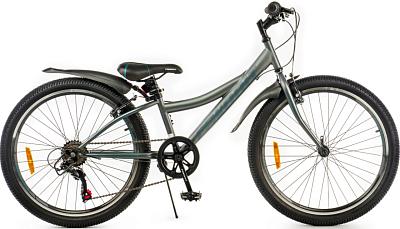 Велосипед Favorit Discovery 24 VS DIS24V11GR