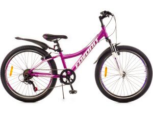 Велосипед Favorit DIS24V11MG-AL