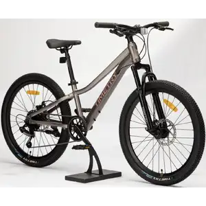 Велосипед TIMETRY TT803 26 7s (13, коричневый)