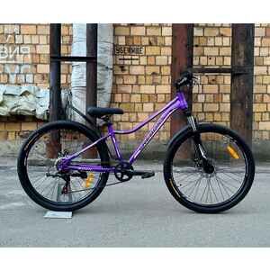 Велосипед Reborn Moon 26 (14, фиолетовый)