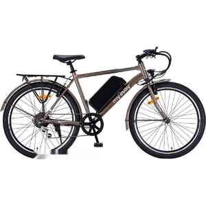 Электровелосипед MyWay Let 1.0 250 26 Pro (титан матовый)