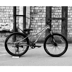 Велосипед Reborn Moon 26 (14, серый/зеленый) Велосипед Reborn Moon 26 (14, серый/зеленый)