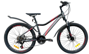 Велосипед GreenLand FORMULA 24 (12, серый/красный)