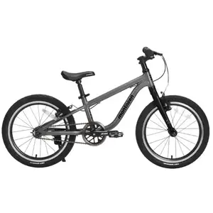 Детский велосипед Montasen F08 (серый) F08-20GR