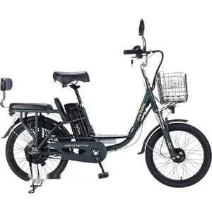 Электровелосипед MyWay Truck 1.0 500 24 (15, темно-зеленый)