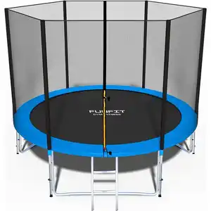 Цены на батут Funfit 10FT (синий) BASIC 312 см с лестницей