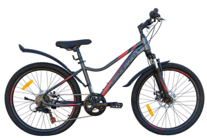 Велосипед GreenLand FORMULA 24 7S SUS (12, серый/красный) Велосипед GreenLand FORMULA 24 7S SUS (12, серый/красный)