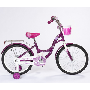 Детский велосипед Zigzag Girl 20 ZG-2034 (фиолетовый) Детский велосипед Zigzag Girl 20 ZG-2034 (фиолетовый)