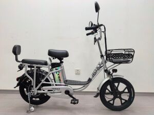 Электровелосипед Terax ROXY NS010 серебро Электровелосипед Terax ROXY NS010 серебро