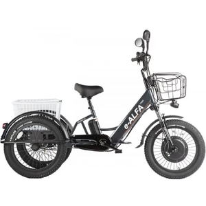 Электровелосипед Eltreco трицикл Green City e-ALFA Trike (серебристый) Электровелосипед Eltreco трицикл Green City e-ALFA Trike (серебристый)