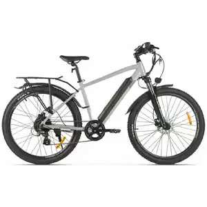 Электровелосипед Eltreco XT 850 Pro (серебристый матовый)