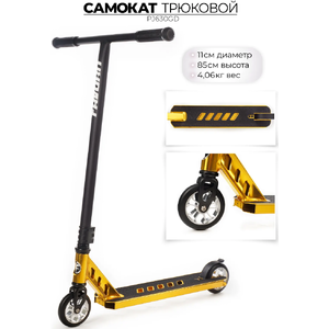 Самокат Favorit PJ630GD золотой