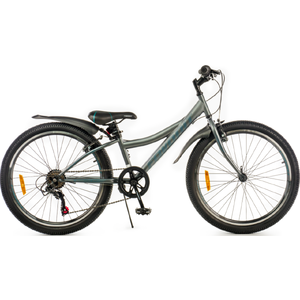 Велосипед Favorit Discovery 24 VS DIS24V11GR