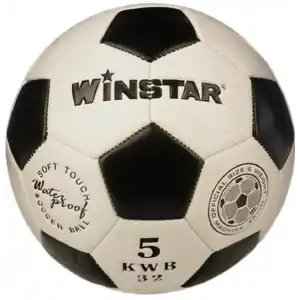 Мяч футбольный Winstar WN11007