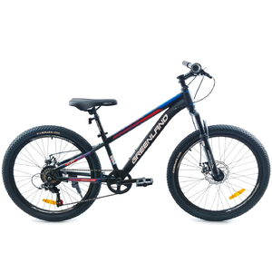 Детский велосипед GreenLand CLIF 20 (черный/красный)