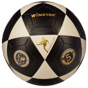 Футбольный мяч Winstar WN11001