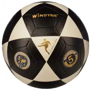 Футбольный мяч Winstar WN11001