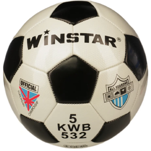 Футбольный мяч Winstar WN11009