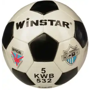 Футбольный мяч Winstar WN11009