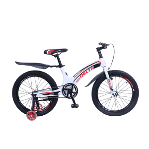 Детский велосипед DELTA Prestige Maxx 20 (белый) Детский велосипед DELTA Prestige Maxx 20 (белый)