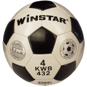 Футбольный мяч Winstar WN11010