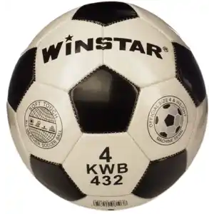 Футбольный мяч Winstar WN11010