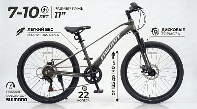 Велосипед Favorit ONYX 22 (11, серый)