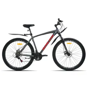 Велосипед Racer Boxfer 29 (20, графитовый матовый, 2026)
