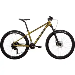 Велосипед Atom Bion Seven 50 XS (Silk Sparkling Gold)
