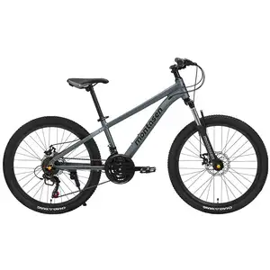 Велосипед Montasen AB06, AB06-24GR (серый)