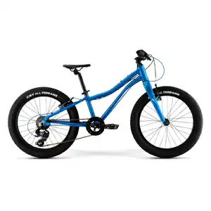 Детский велосипед Merida Matts J20+ ECO 2022 (синий)