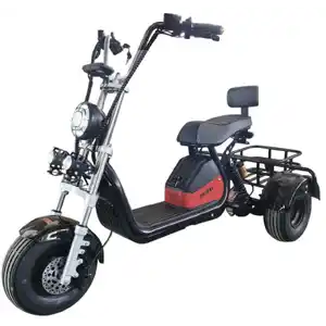 Электроскутер Shtenli трицикл Model 104 mini LI-ION (48v12A)