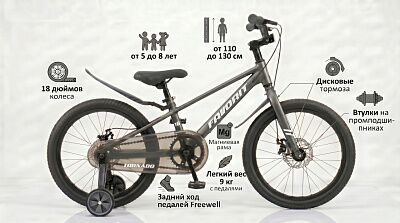 Детский велосипед Favorit TORNADO 18 Серый TOR-18GR