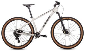 Велосипед Atom Bion Nine LTD 29 (L(18.5) SilkTitan) Велосипед Atom Bion Nine LTD 29 (L(18.5) SilkTitan)