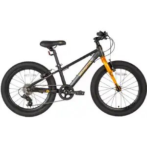 Детский велосипед Maxiscoo 5Bike 20 M 2024 (черный матовый)