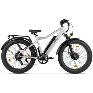 Электровелосипед Eltreco BigCat Dual Next (серебристый матовый)