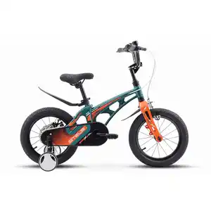 Детский велосипед Stels Galaxy KMD 14 Z010 (темный/зеленый)