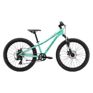 Велосипед Silverback Spyke G 24 D (mystic teal)