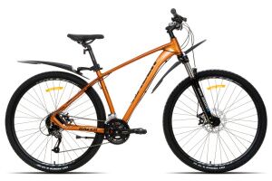 Велосипед Racer Legion 29 (18, бронзовый матовый, 2025) Велосипед Racer Legion 29 (18, бронзовый матовый, 2025)