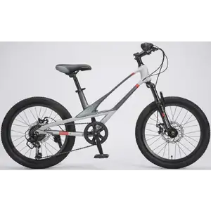 Детский велосипед Montasen MB12B-20SL серебристый