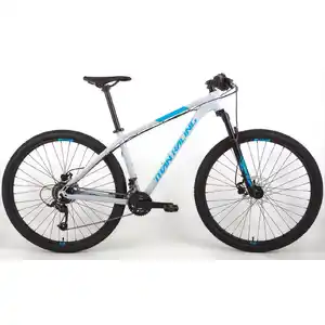Велосипед Titan Racing Rogue Alpine 29 (S(16), Quaker Grey, 2024)