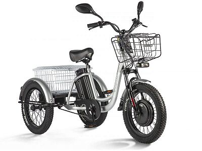 Электровелосипед Eltreco Porter Fat 500 (серебристый)