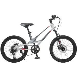 Велосипед Montasen MB12B (12, серый) MB12B-22GR