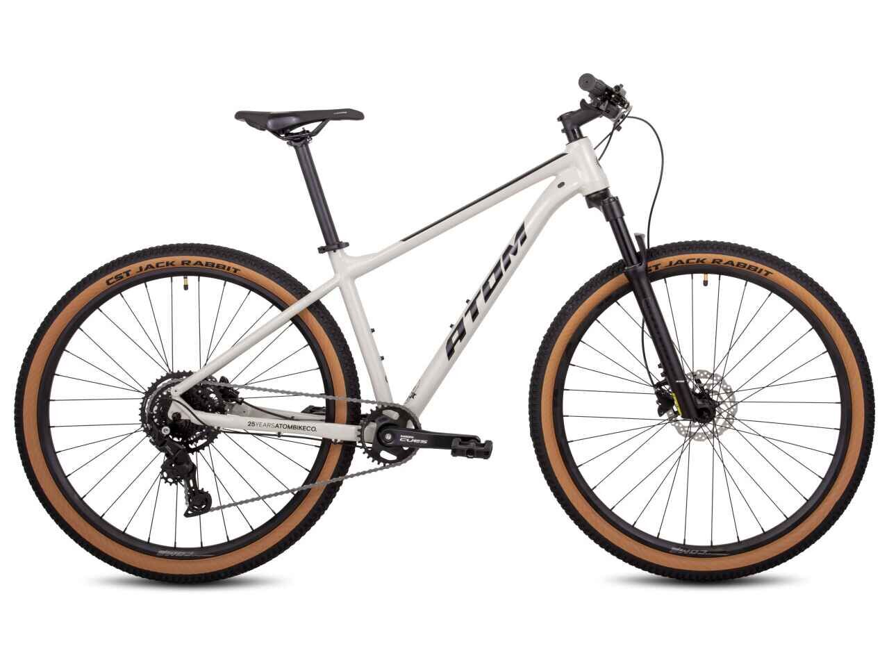 Велосипед Atom Bion Nine LTD 29 (M(17) SilkTitan) Велосипед Atom Bion Nine LTD 29 (M(17) SilkTitan)