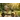 Электроскутер Terax REX NS002 - фото 2 preview