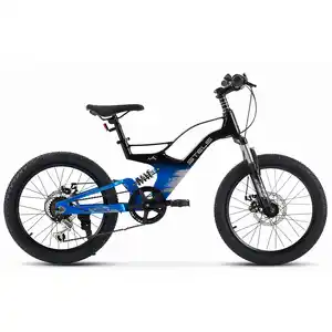 Детский велосипед Stels Leader 250 MD 20 Z010 (синий/черный)