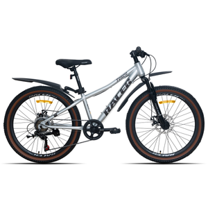 Велосипед Racer Tempo 24 (12, серый, 2026)