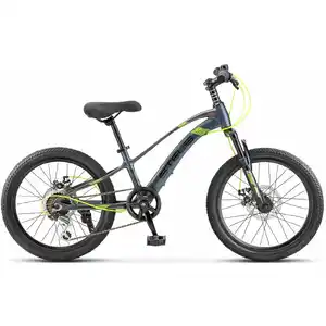 Детский велосипед Stels Leader 230 MD 20 Z010 (серый/черный)