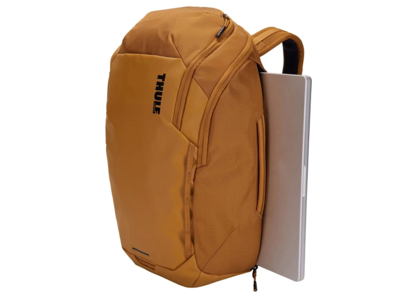 Городской рюкзак Thule Chasm TCHB215GOLD (golden) Городской рюкзак Thule Chasm TCHB215GOLD (golden)